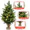 Costway 2ft. Pre‑Lit Tabletop Fir Artificial Christmas Tree with Timer LED Lights